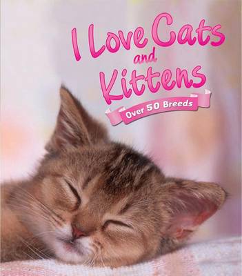 I Love: Cats and Kittens
