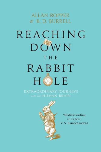 Reaching Down the Rabbit Hole