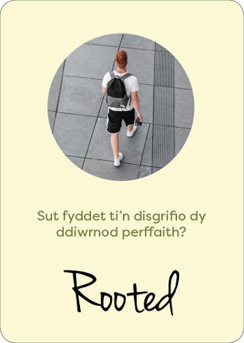 HWB Rooted