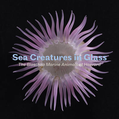 Sea Creatures in Glass