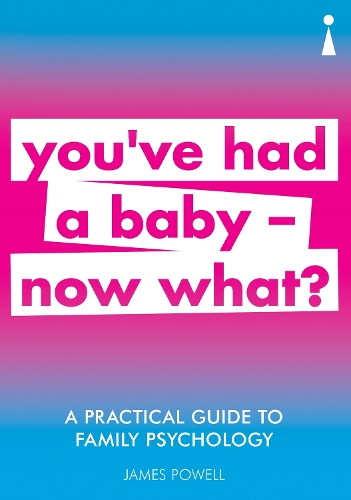 A Practical Guide to Family Psychology