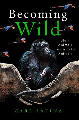 Becoming Wild
