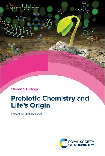 Prebiotic Chemistry and Life s Origin by Michele Fiore Foyles