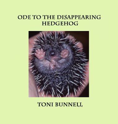 Ode to the Disappearing Hedgehog