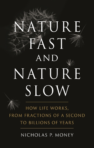 Nature Fast and Nature Slow