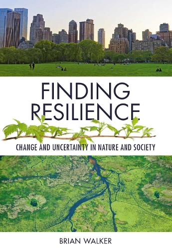 Finding Resilience
