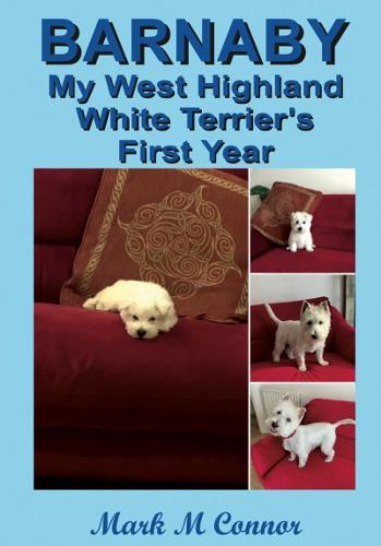 Barnaby my West Highland White Terrier’s First Year