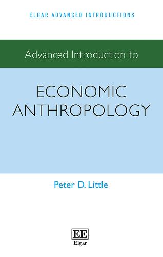 Advanced Introduction to Economic Anthropology