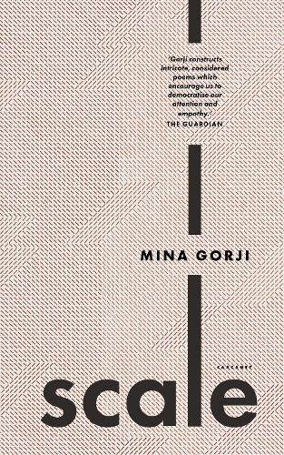 Scale by Mina Gorji