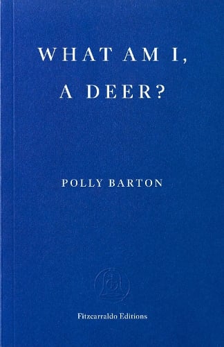 What Am I, A Deer?