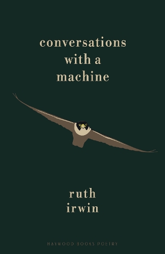 Conversations with a Machine