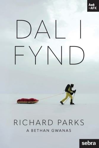Stori Sydyn: Dal i Fynd