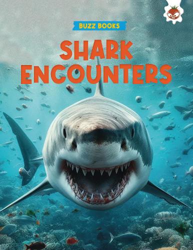 Shark Encounters