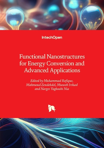 Functional Nanostructures for Energy Conversion and Advanced Applications