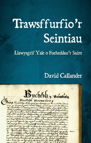 Trawsffurfio’r Seintiau