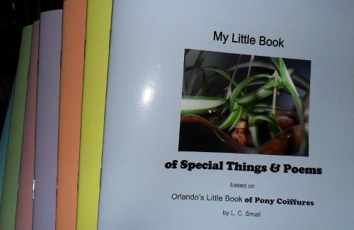My Little Book of Special Things & Poems