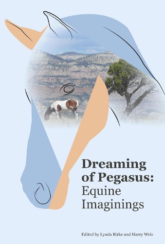 Dreaming of Pegasus: