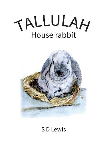 Tallulah the Rabbit