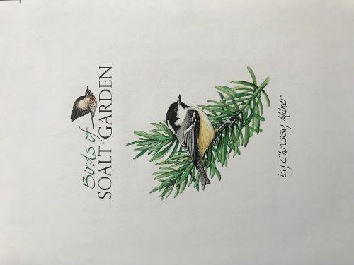 Birds of Soalt Garden