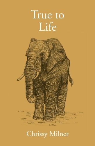 True to Life