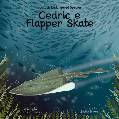 Cedric e Flapper Skate