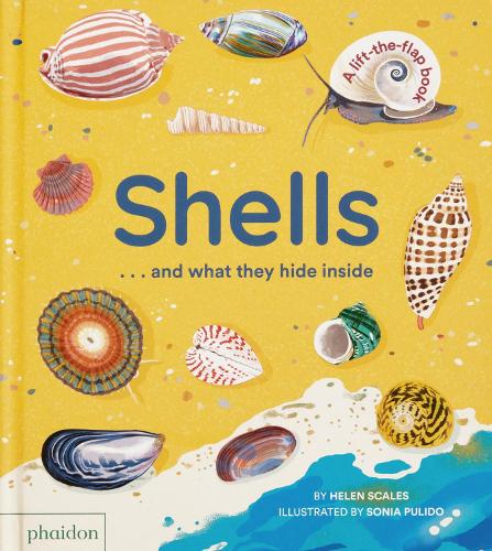Shells... and what they hide inside by Helen Scales