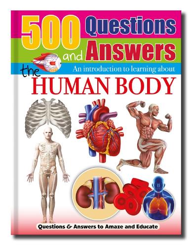 The Human Body