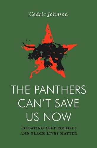 The Panthers Can't Save Us Now by Cedric G. Johnson