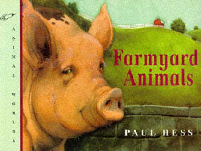 Farmyard Animals