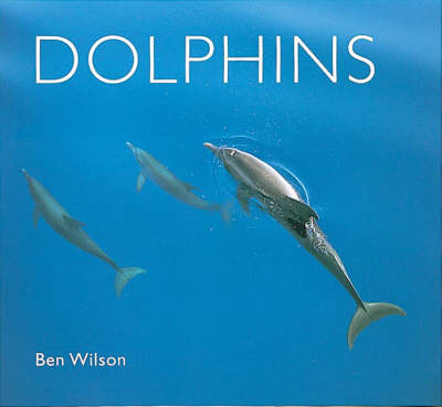 Dolphins