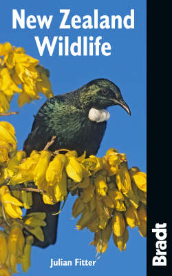 New Zealand Wildlife