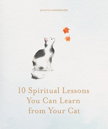 10 Spiritual Lessons You Can Learn from Your Cat