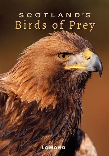 Scotland's Birds of Prey