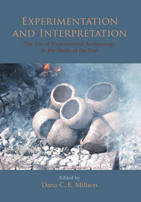 Experimentation and Interpretation