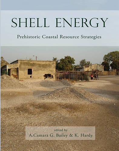 Shell Energy