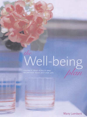 The Wellbeing Plan