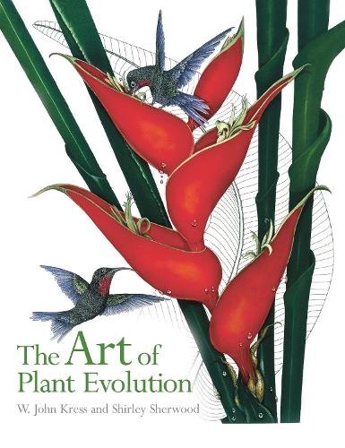 Art of Plant Evolution, The