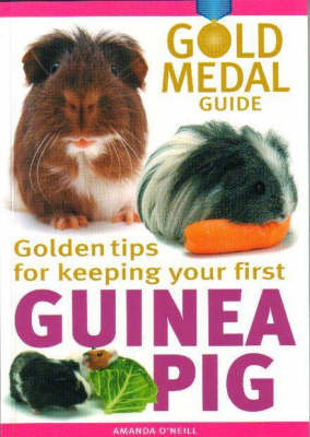 Guinea Pig
