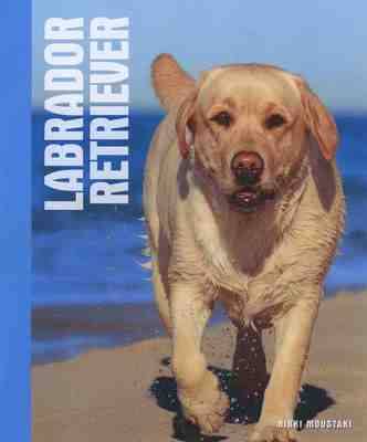 Labrador Retrievers