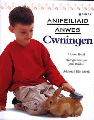 Cwningen