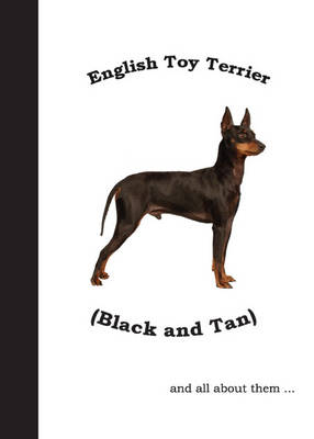 English Toy Terrier