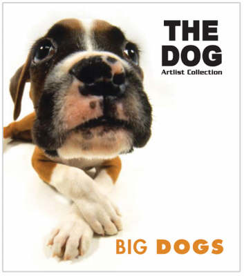 Big Dogs
