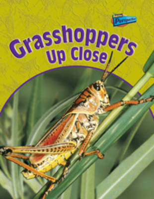 Minibeasts Up Close