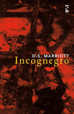 Incognegro