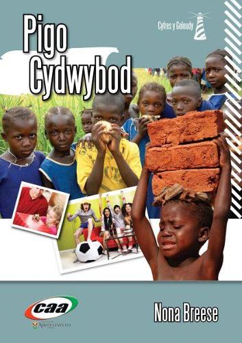 Cyfres y Goleudy: Pigo Cydwybod