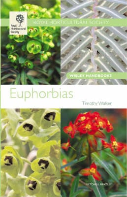 Euphorbias