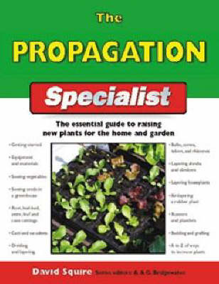 The Propagation Specialist