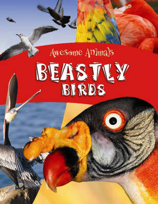 Beastly Birds and Bats