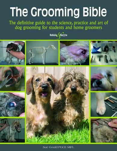 The Grooming Bible