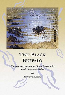Two Black Buffalo
